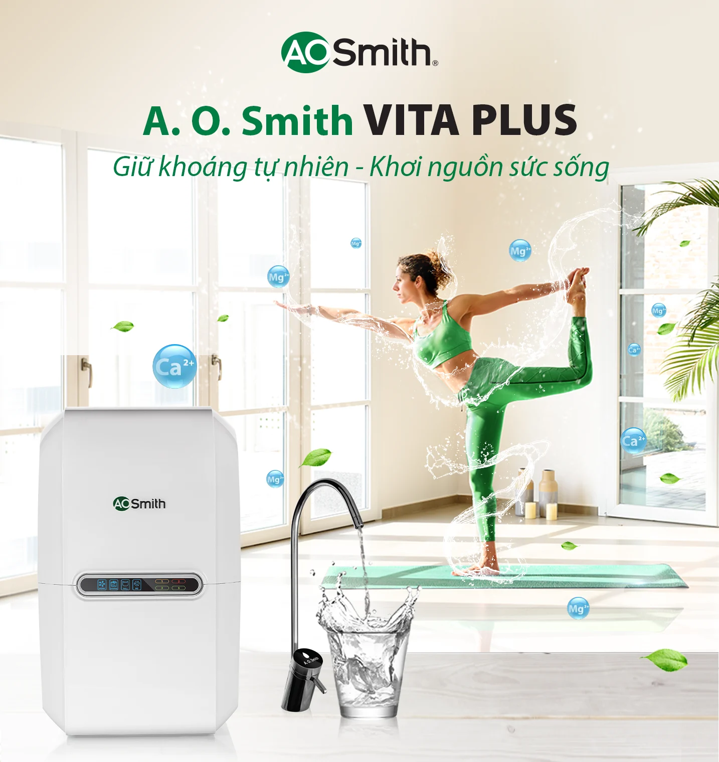 Máy lọc nước A.O.Smith Vita Plus